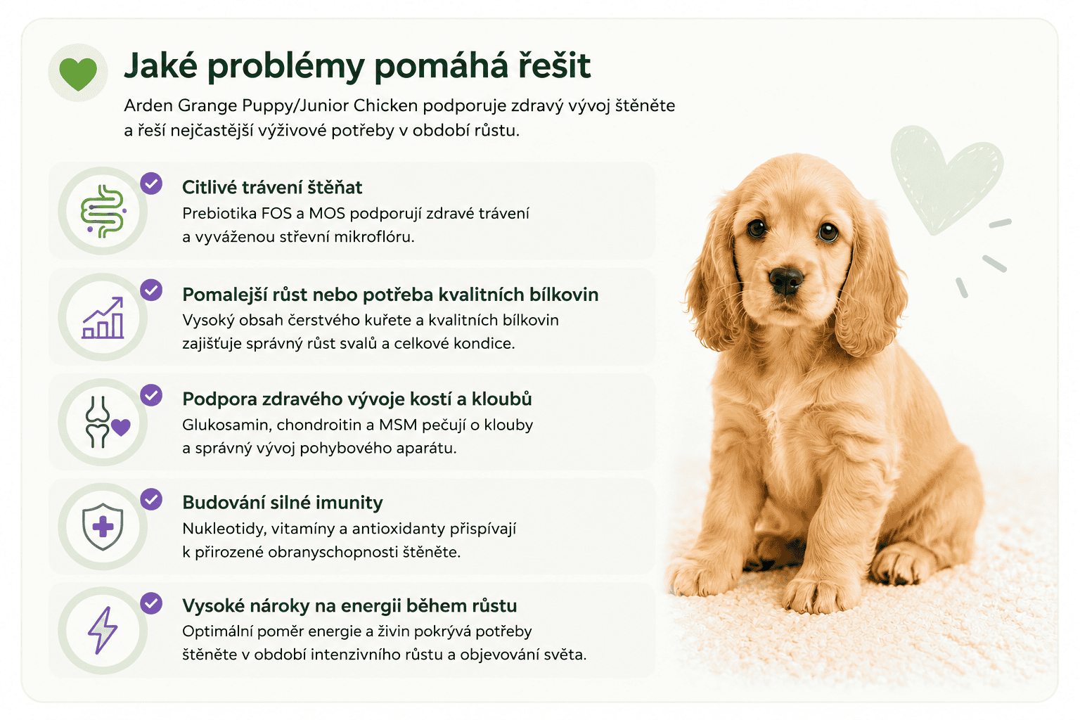 Arden Grange Puppy Junior kuře jaké problémy řeší